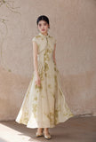 DR235289/Pre-order