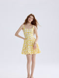 DR235628/Pre-order