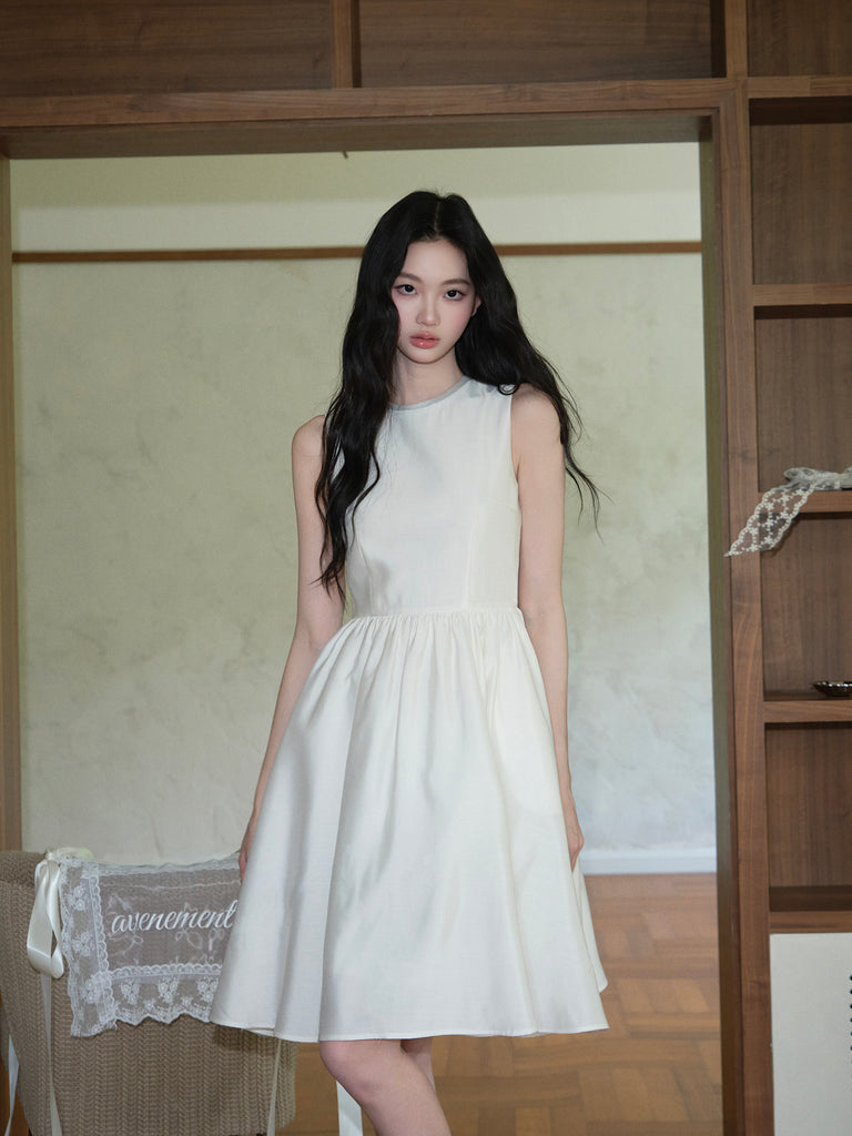 DR236286/Pre-order