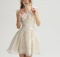 DR235064/Pre-order