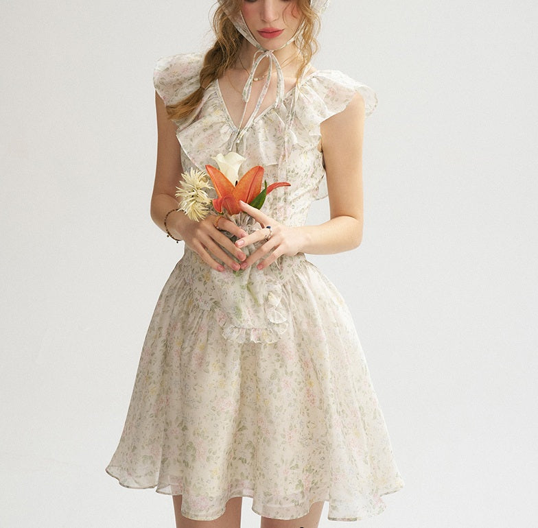 DR235064/Pre-order