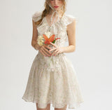 DR235064/Pre-order