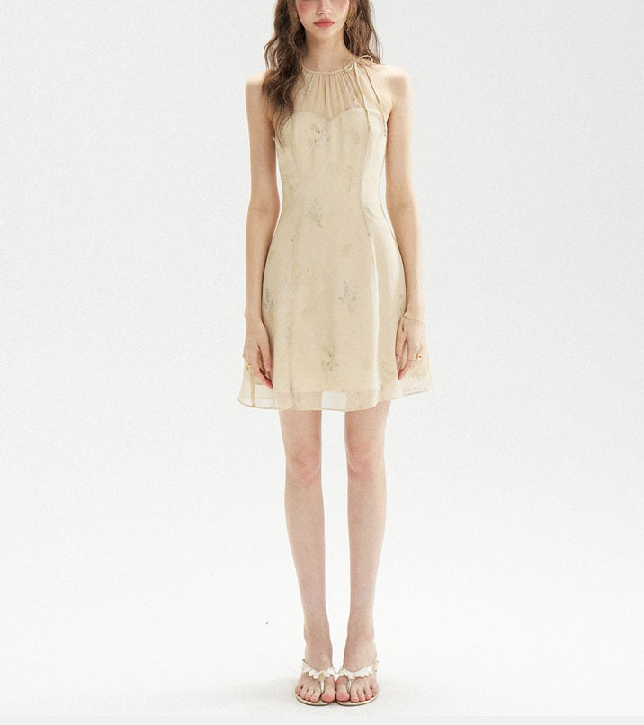 DR236208/Pre-order