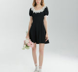 DR236292/Pre-order
