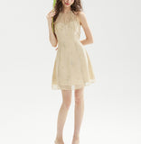 DR236208/Pre-order