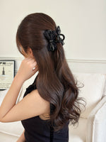 HA25149/Pre-order