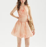 DR236222/Pre-order