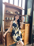 DR236240/Pre-order