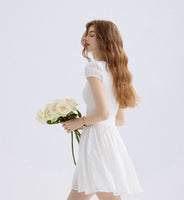 DR235556/Pre-order