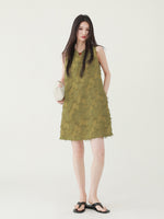 DR235532/Pre-order