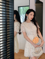 DR235620/Pre-order