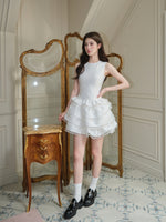 DR235665/Pre-order