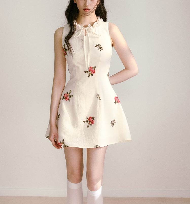 DR235108/Pre-order