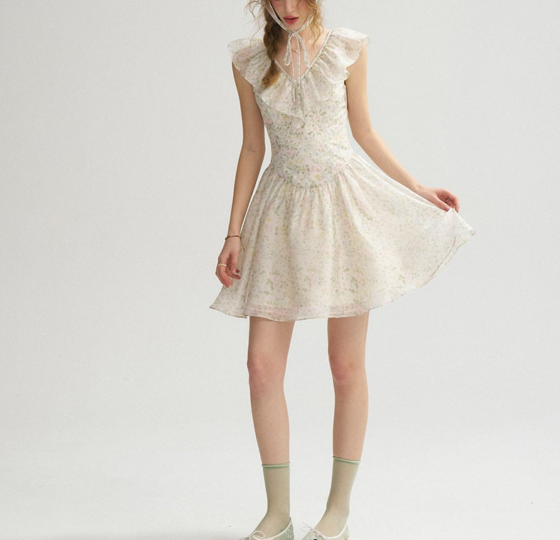 DR235064/Pre-order