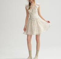 DR235064/Pre-order