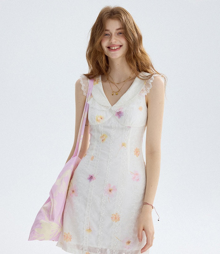 DR235588/Pre-order