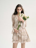 DR235586/Pre-order