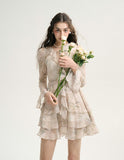 DR235586/Pre-order