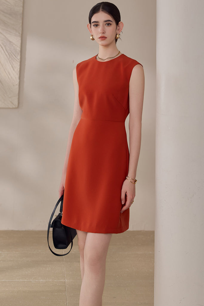 DR236305/Pre-order