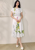 DR236133/Pre-order