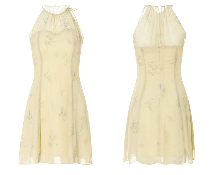 DR236208/Pre-order