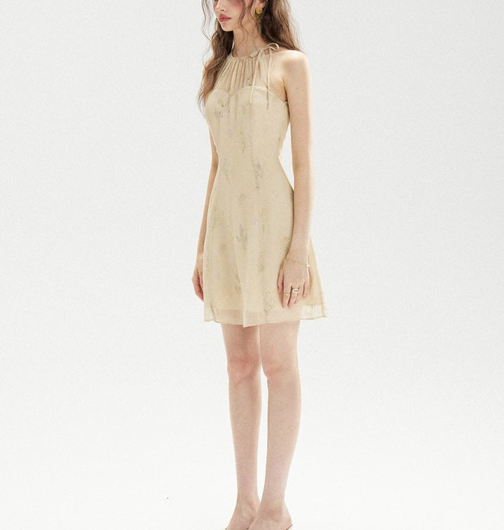 DR236208/Pre-order