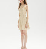 DR236208/Pre-order