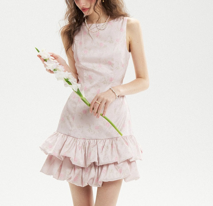 DR236256/Pre-order