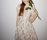 DR236088/Pre-order