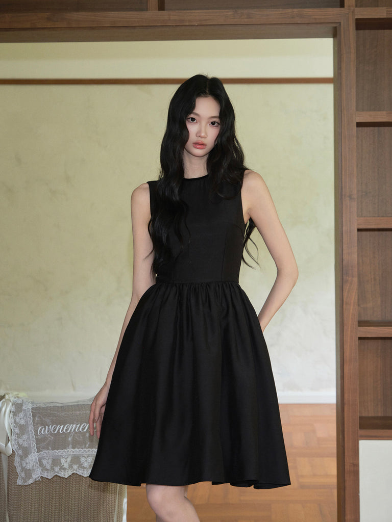DR236286/Pre-order