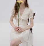 DR236100/Pre-order