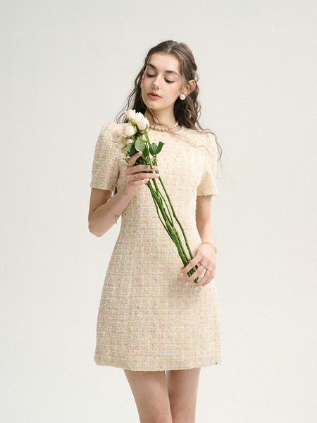 DR235627/Pre-order