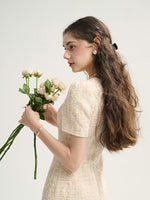 DR235627/Pre-order