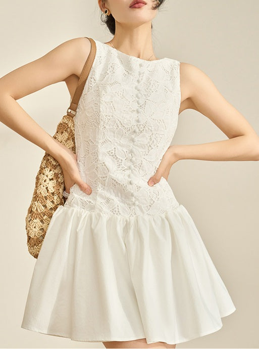 DR236279/Pre-order