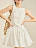 DR236279/Pre-order