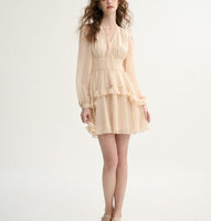 DR235664/Pre-order