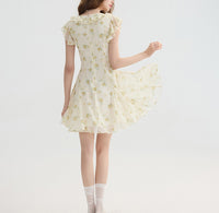DR235093/Pre-order