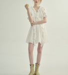 DR235652/Pre-order