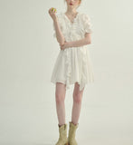 DR235652/Pre-order