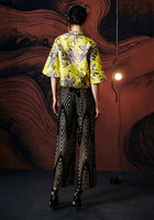 DR23679/Pre-order