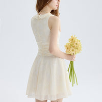 DR235251/Pre-order