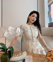DR235620/Pre-order