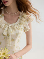 DR235093/Pre-order