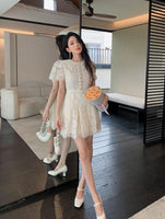 DR235620/Pre-order