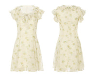 DR235093/Pre-order