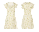 DR235093/Pre-order
