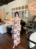 DR235247/Pre-order