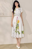 DR236133/Pre-order