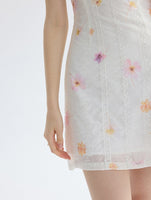 DR235588/Pre-order