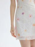 DR235588/Pre-order